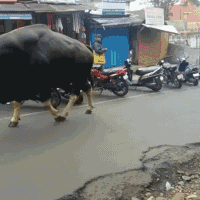 |搞笑GIF:下大雨的时候我们全班男生只需要一把伞就够了,你信不?