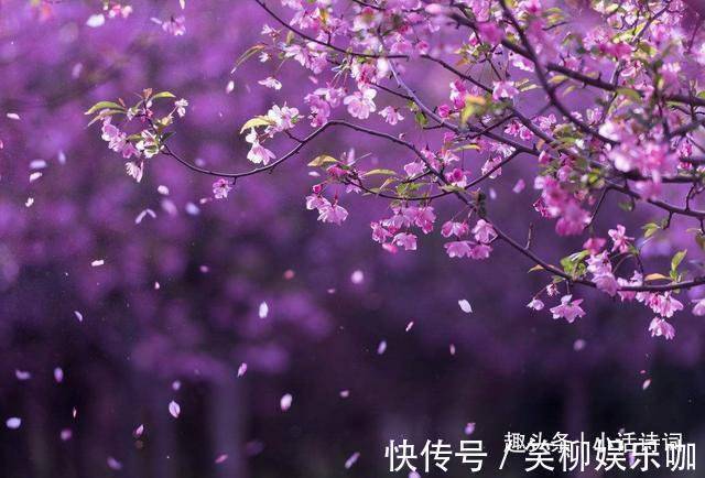 晏殊$婉约词有多美?晏殊在暮春时写的这首《浣溪沙》,堪称代表之作