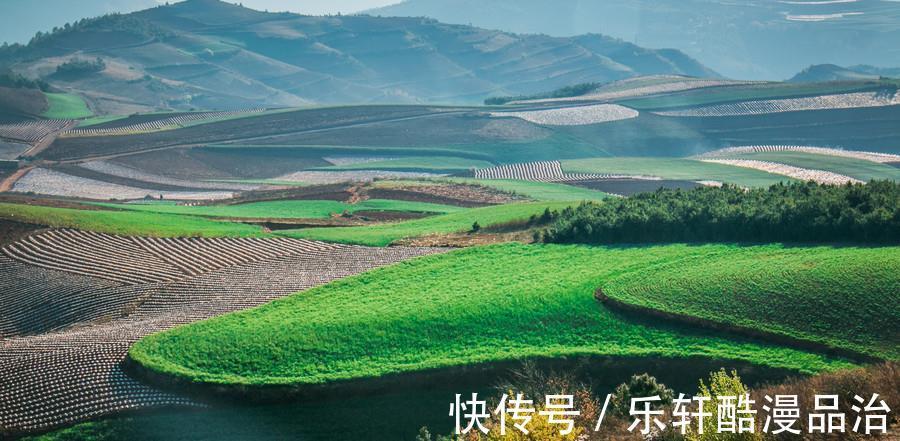 生肖|未来7天，桃花遍地开，财路旺盛，工作如鱼得水，风调雨顺的生肖