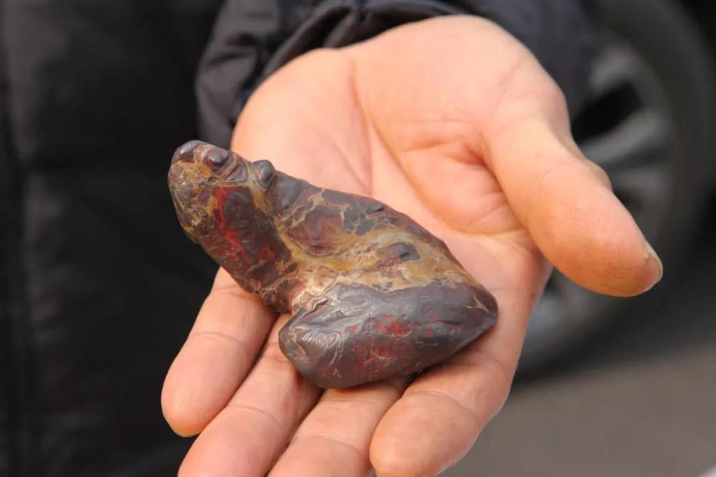 陨石|“群星”在故都闪耀——第四届临淄齐国商城陨石展