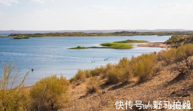 沙漠化|中国又一“伟大”工程，愣是在沙漠中挖出水库，为大西北带去发展