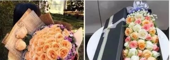 垃圾分类家中绿植垃圾分类我到底是个什么垃圾