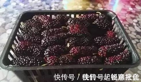 耳鸣|生活家:黑芝麻最大的功效不是乌发,而是这个?