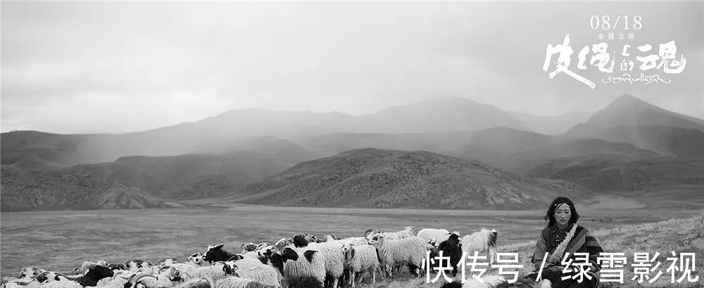 因為一場戲沒了一個動物!這5部戲被打差評、遭吐槽,真是不冤