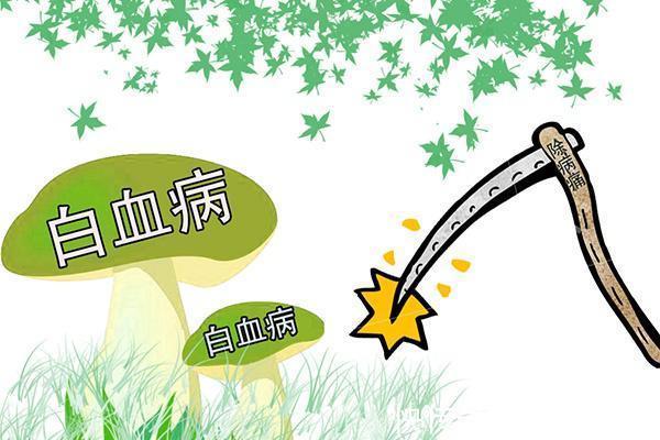 便宜|每分钟就有七人患上白血病,医生再三提醒卫生纸可别随便用