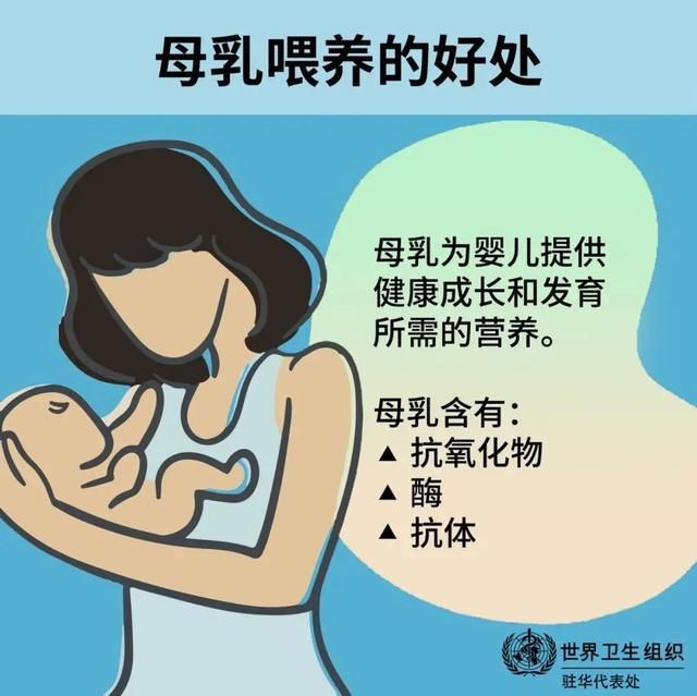 母乳喂养相关知识，一篇全知道|世界母乳喂养周 | 母乳