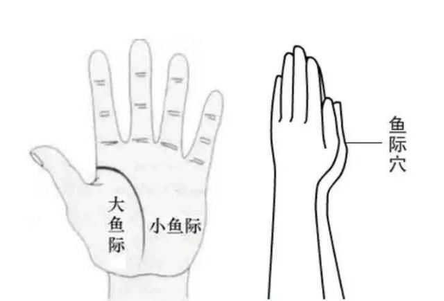 每天早晨起床这样动一动,就能解冻你的肩周炎,胜过任何解药