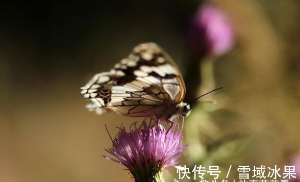 水瓶座|近几天，沧海桑田，天降横财，贵人青睐，转身离去，余生爱的疯狂