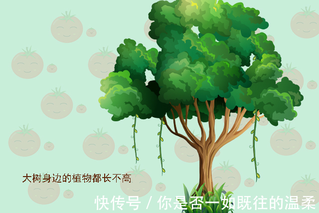 流金岁月|养“废”一个男孩其实很简单,做3件事就够了!父母没事别瞎操心