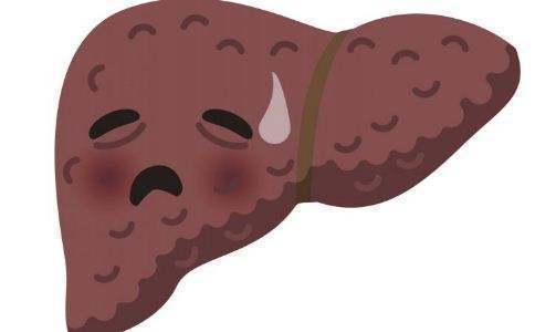 肝损伤|肝损伤不可以吃猪肝?肝不好的人,还要少吃这4种素食