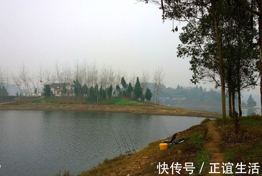 感悟|本以为钓鱼是虚度光阴,却让我感悟了不少人生