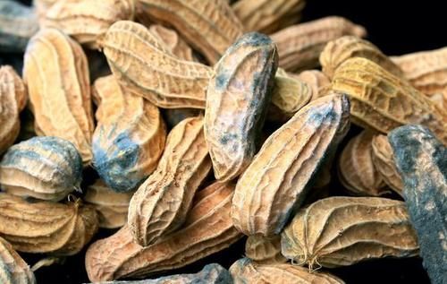 肝脏|多吃丝瓜能养肝？养肝护肝：3物不可多吃，管住嘴，肝或慢慢变好