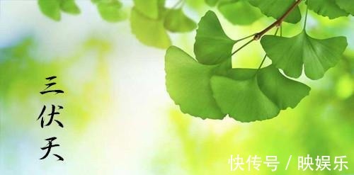 三伏天|三伏将至，重在养心、祛湿，记住“喝二茶、灸三穴”，做好四件事