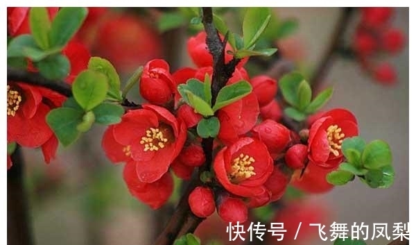 花店老板打死都不会透露的浇水秘诀，真的很管用