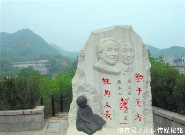 教子|大文豪冰心先生,被其后代指责“教子无方”,背后原因让人唏嘘