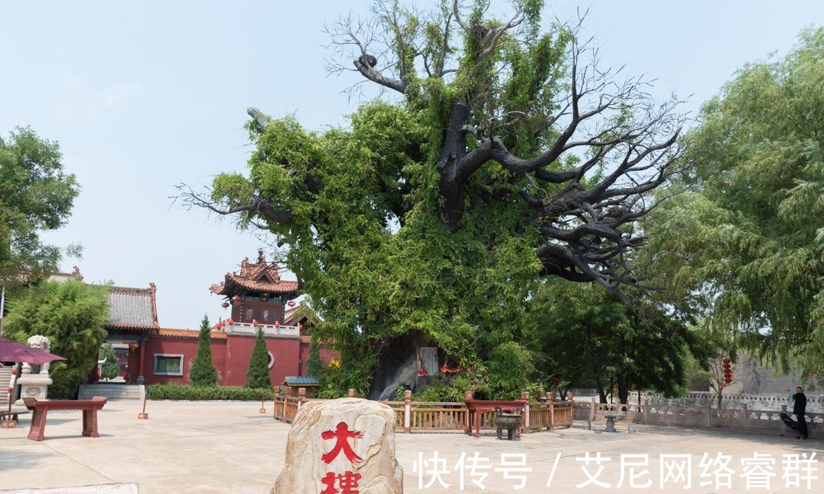 明初|600年前发生了18次移民，无数华夏儿女的“老家”在山西