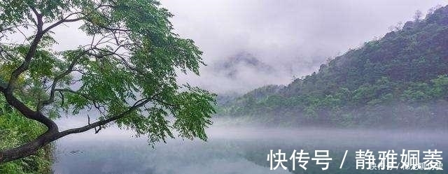 画屏|秦观被贬时写的这首词实在太美了,其中的一句更是成了经典名句