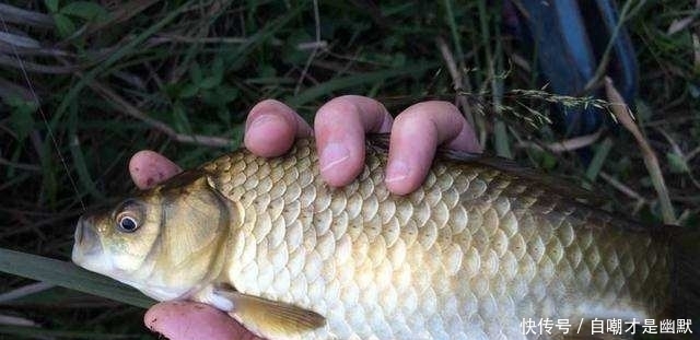 透露|冬钓不会调漂?老钓友首次透露调漂三大原则,钓友:怎么现在才说