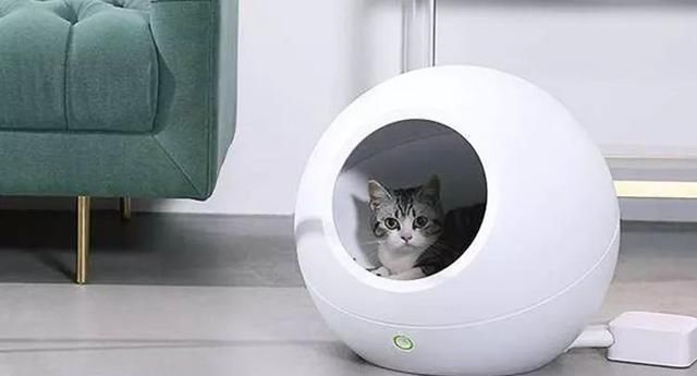 床上螨虫成窝,家里老人小孩老过敏,教你1个土法子,让螨虫消失