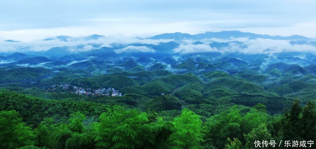 刚好遇见你|如果在夏天遇见你，真想带你私奔到咸宁！