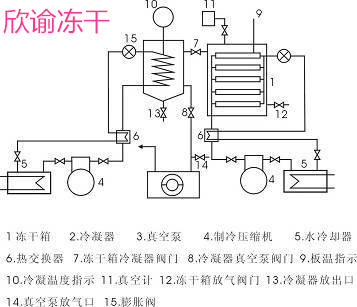 潼南“金果果”助力农业增效农人增收