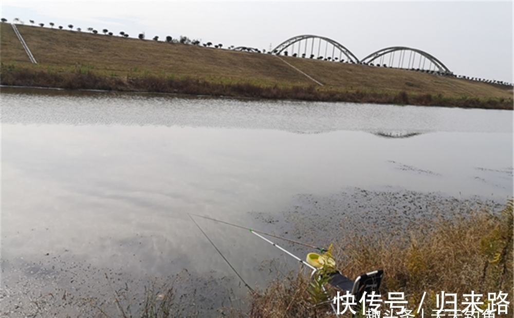 冬季钓鱼,不在4类钓点下竿,多好的饵料和技术,也注定了空军