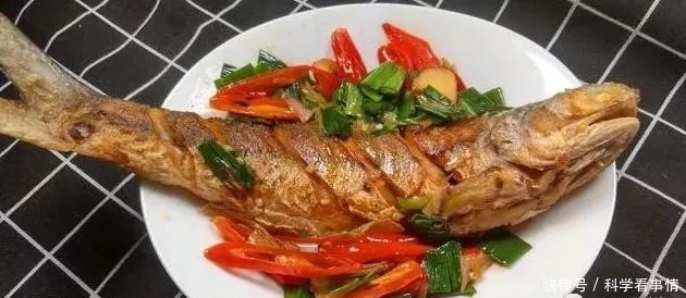 在中国“排名第一”的午鱼,是什么鱼