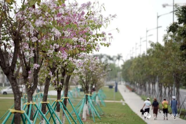 绿色明珠湾，邂逅整个春天