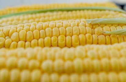  新年第一天，做一杯寓意“丰年”的甜品，送给最爱的亲人