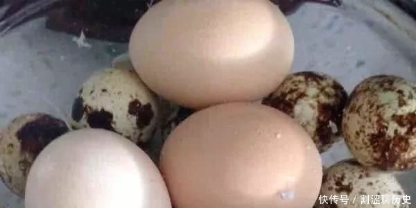 卤蛋别再买着吃了,大厨教你在家做,美味又营养!