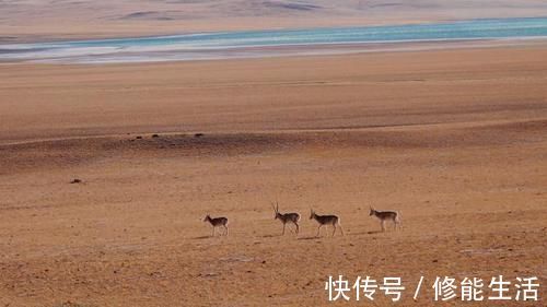 双湖|中国最大无人区，1群牧民深入腹地，开辟了与世隔绝的新天地