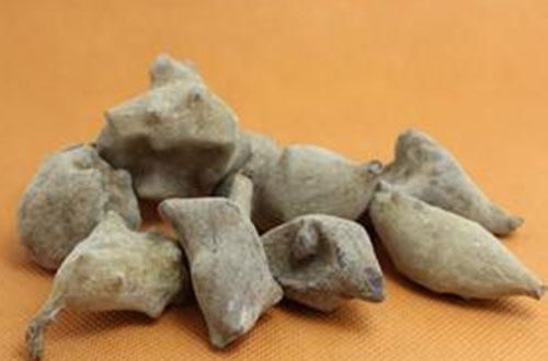  五倍子|一味中药，一个穴位！专治牙痛！千人验证，一次即效！试了就知道