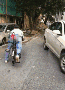 |搞笑GIF:本以为是郎才女貌 怎料想是狼心狗肺