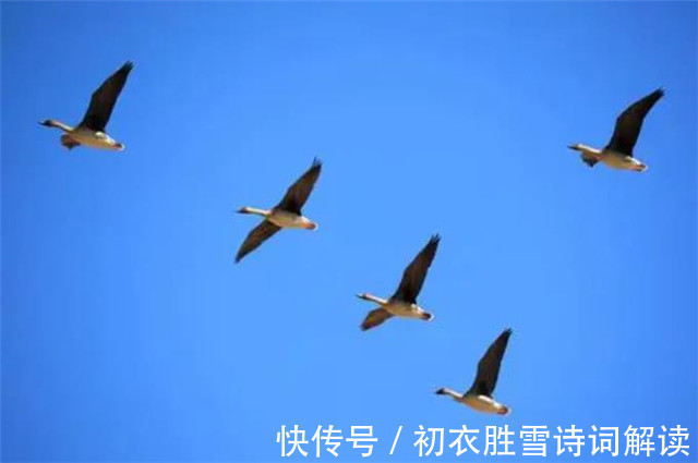 晏殊$晏几道两首重阳词赏:九日悲秋不到心,绿杯红袖趁重阳