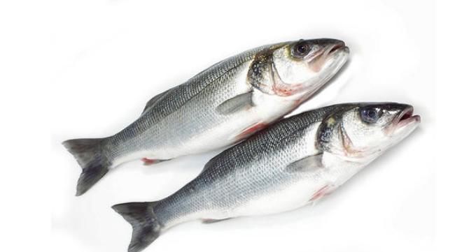 这些鱼都是地地道道的海鱼，口感鲜嫩，价格比淡水鱼还便宜!