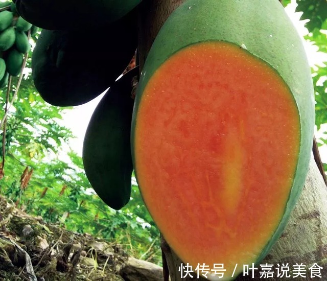 桑葚干|男人一旦过50,烟酒少碰,这些食物可以放开吃,营养极高还不贵