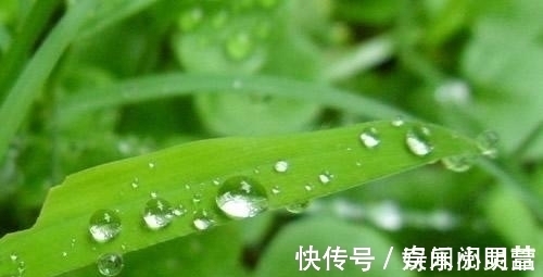 冷知识|21个冷知识，稀奇古怪，有些是你没听说过的有趣知识