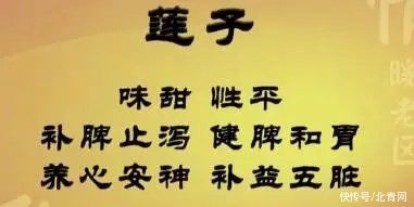 莲子芯|“水中珍宝”这样吃，媲美人参！控血脂、健脾胃、祛湿气……错过太可惜