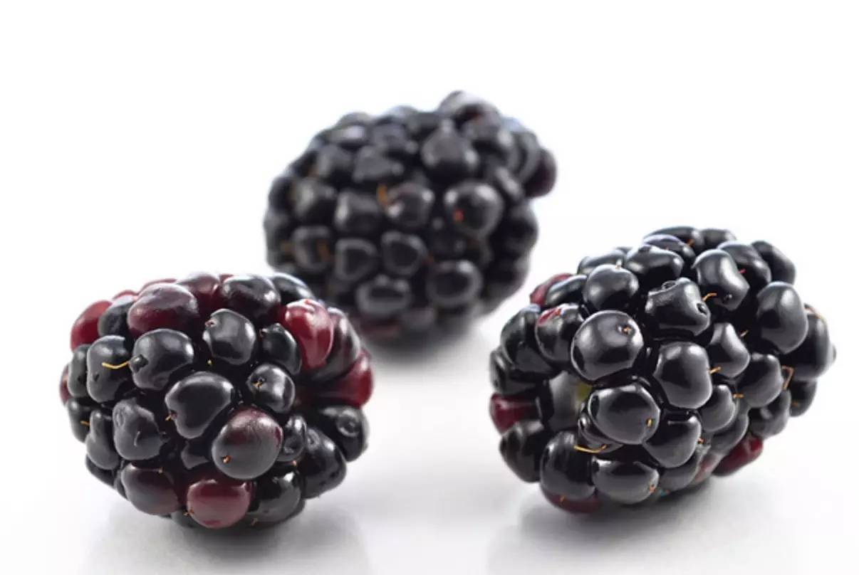 阴虚|老中医献方2味小药代茶饮,阴阳并补、肝肾同补,百病远离!