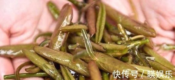 葡萄茎|池塘里的一种野菜，吃起来比豆腐还嫩，现在卖到30多一斤