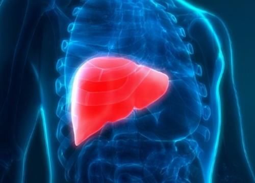 白蒺藜|肝主筋，养肝等于在养你的根基