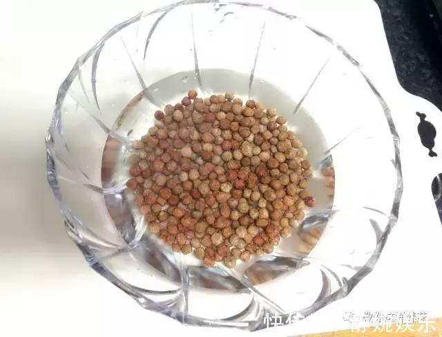 学会纸上种菜,在家就能做菜农,青菜不用买!