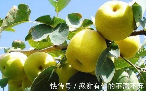 癌细胞|肺癌开始骨转移,身体有何征兆?医生:夜间1处总会疼,需警惕