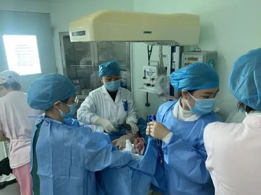 产科|孕晚期女子,胎动消失15小时!紧急手术