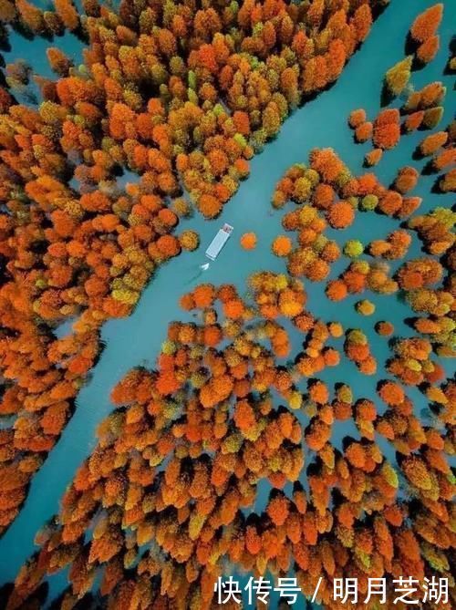 冬日|精品自驾路书在画里穿行,在云中漫步!自驾畅游“皖南318”川藏线