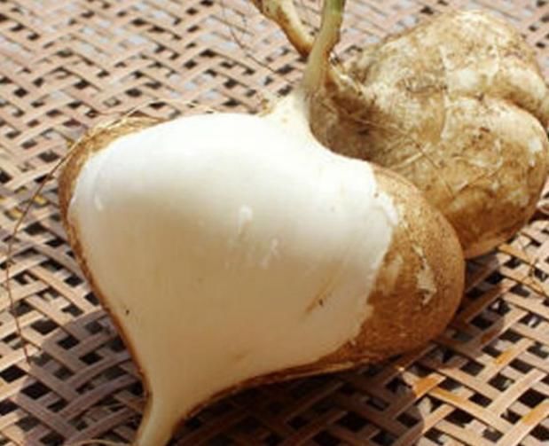 野草|农村一波波的“野草”,叶子有毒根部却大如鹅蛋,多吃可降脂降压