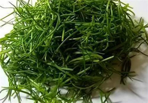 多醣体|人到中年要会吃，常吃3种食物，降压减脂，抗衰老，早吃早好