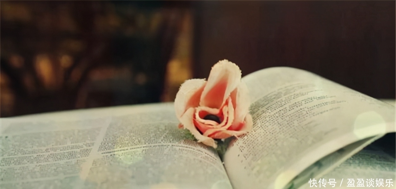 叔本华:为什么有些人读书无数,思想水平却很低?