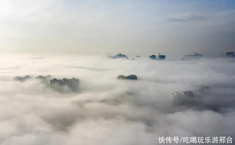 平流雾|美如仙境！邢台城市上空现平流雾景观