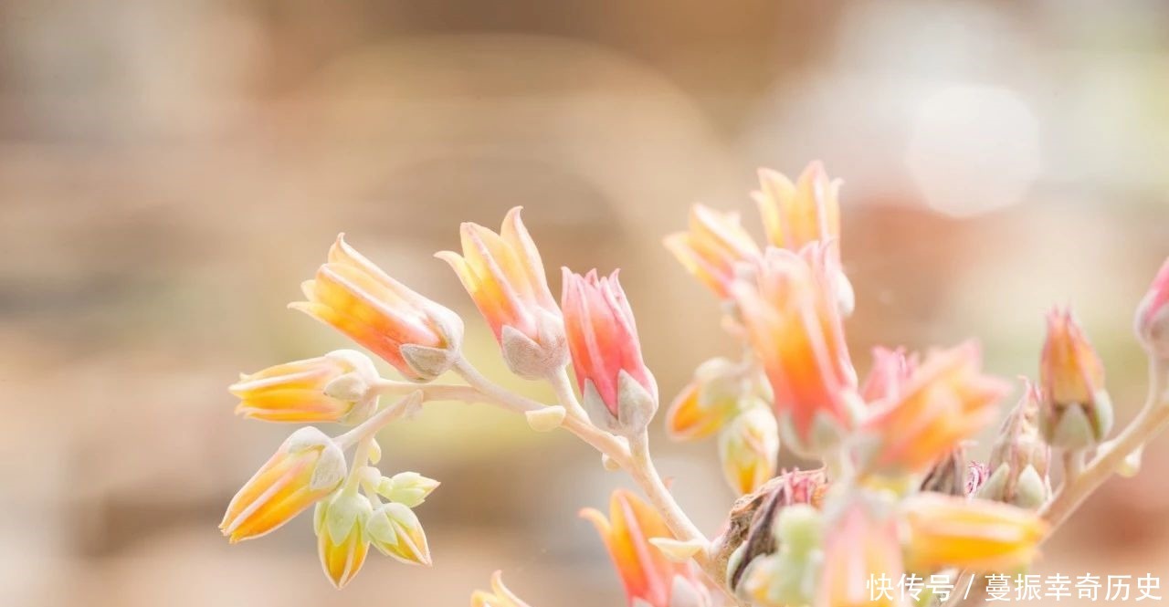 撑着油纸伞|中国最美的十首现代诗,美入骨髓,一生至少要读一次!
